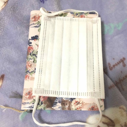 ウイルス飛沫 PM2.5 花粉 不織布マスク/トップバリュ/マスクを使ったクチコミ(3枚目)