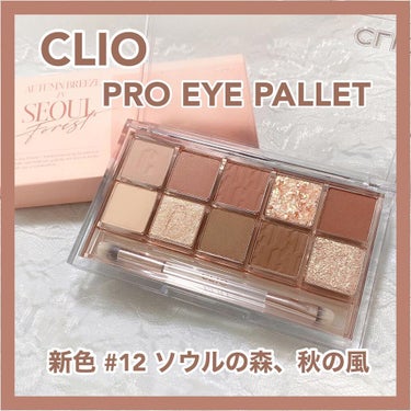 プロ アイ パレット/CLIO/アイシャドウパレットを使ったクチコミ（1枚目）