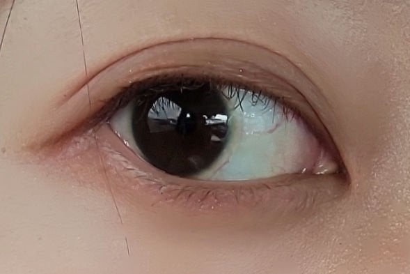 プロ アイ パレット/CLIO/アイシャドウパレットを使ったクチコミ(2枚目)