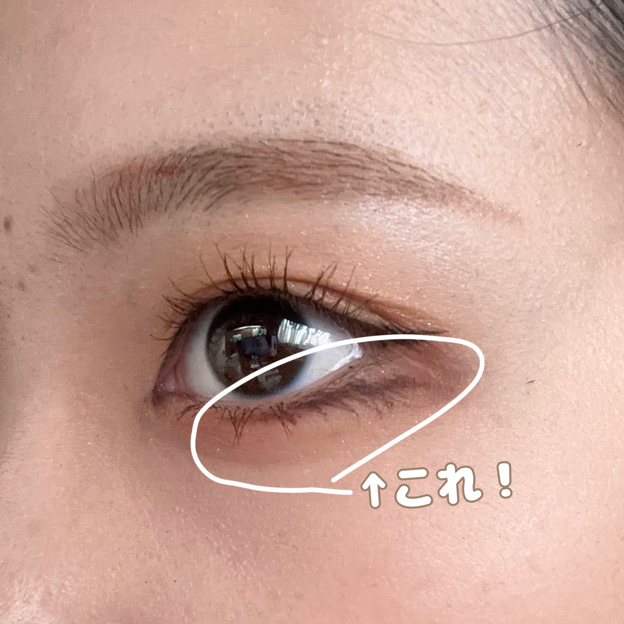 アイラッシュカーラー /SHISEIDO/ビューラーを使ったクチコミ（2枚目）