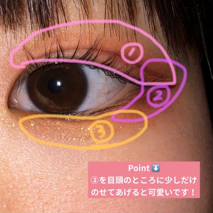 大英博物館 エジプトシリーズ アイシャドウパレット/ZEESEA/アイシャドウパレットを使ったクチコミ(3枚目)