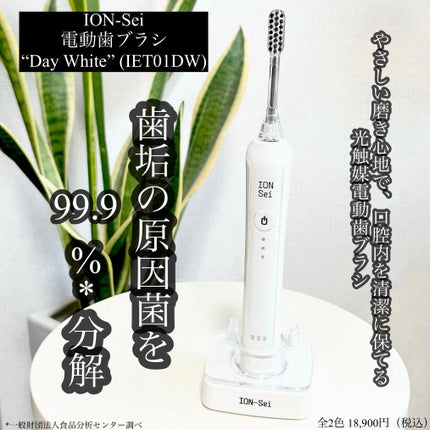 電動歯ブラシ/ION-Sei/電動歯ブラシを使ったクチコミ(1枚目)