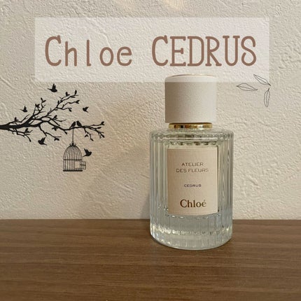 Chloe アトリエ デ フルール オードパルファム シダー 試してみた】クロエ アトリエ デ フルール オードパルファム