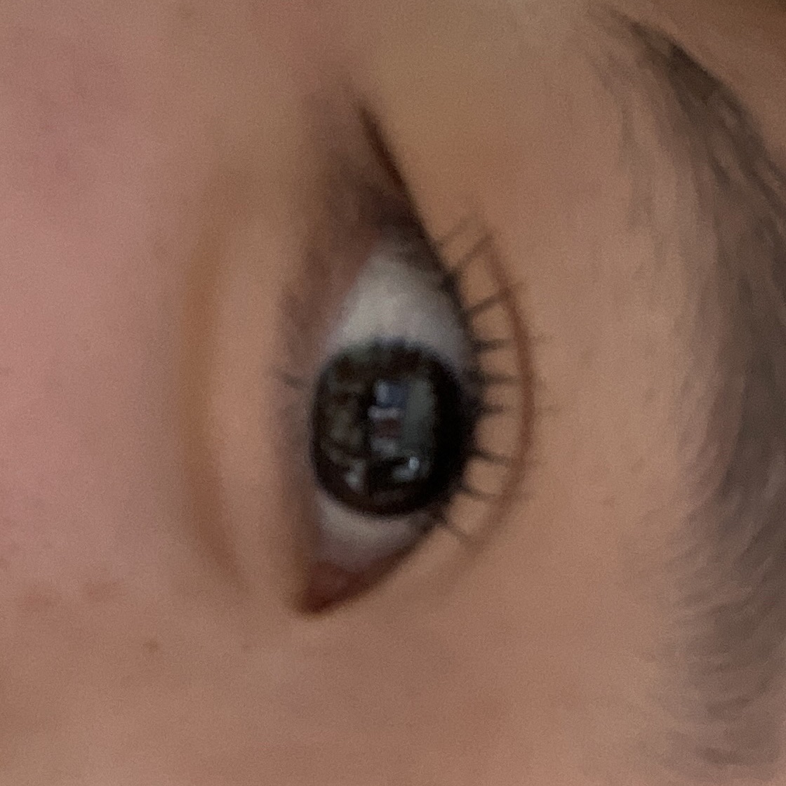 カールラッシュ フィクサー/Elégance/マスカラ下地を使ったクチコミ（2枚目）