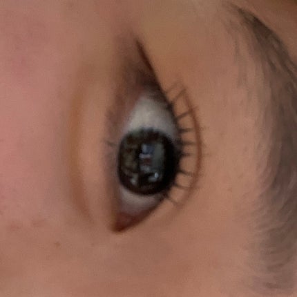 キングダム 束感カールマスカラ/キングダム/マスカラを使ったクチコミ(2枚目)