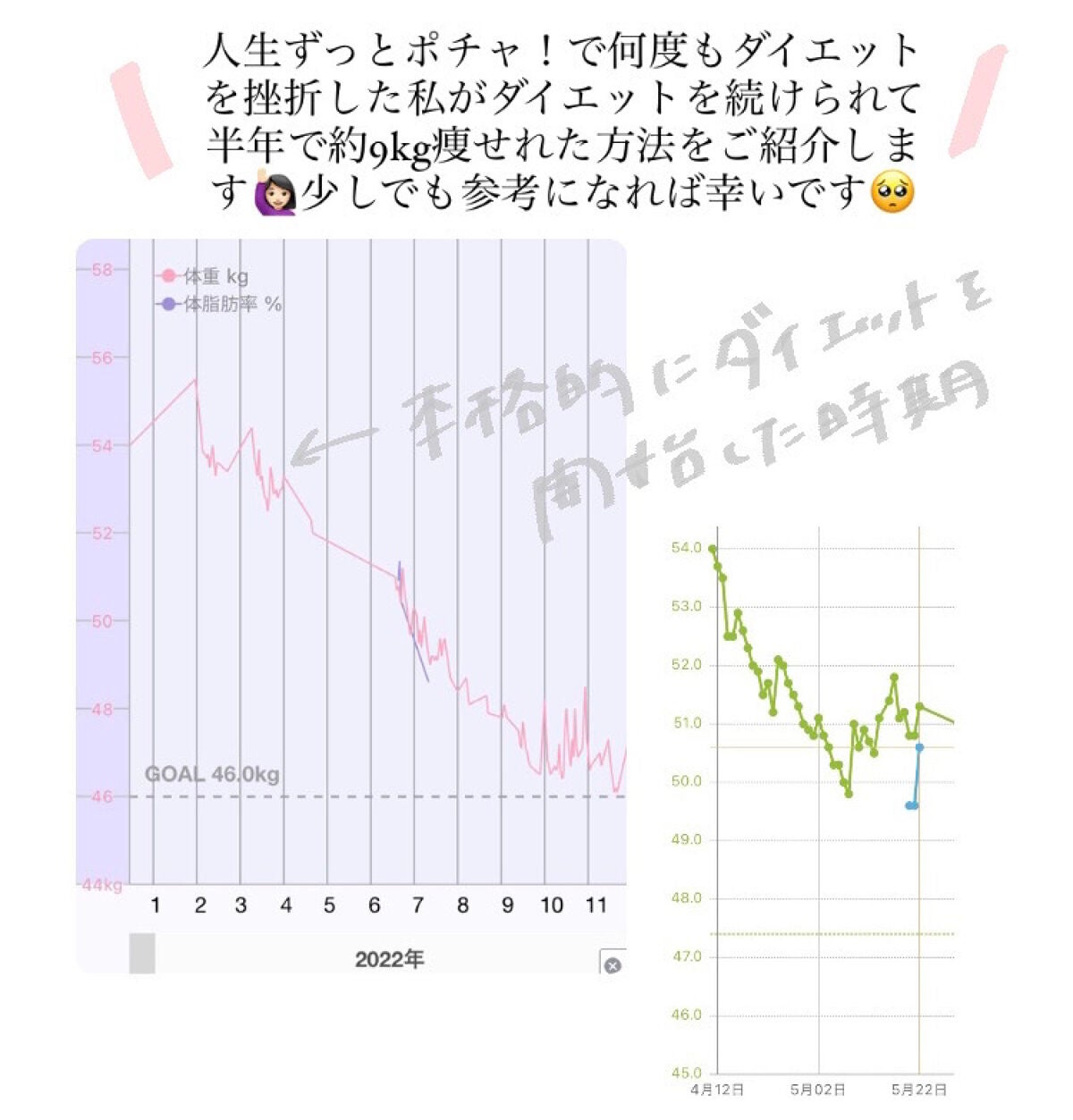 カロリミット/ファンケル/ボディサプリメントを使ったクチコミ(2枚目)