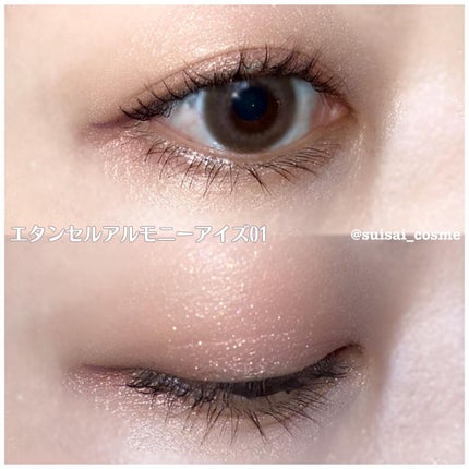 エレガンス エタンセル アルモニーアイズ/Elégance/アイシャドウパレットを使ったクチコミ(6枚目)