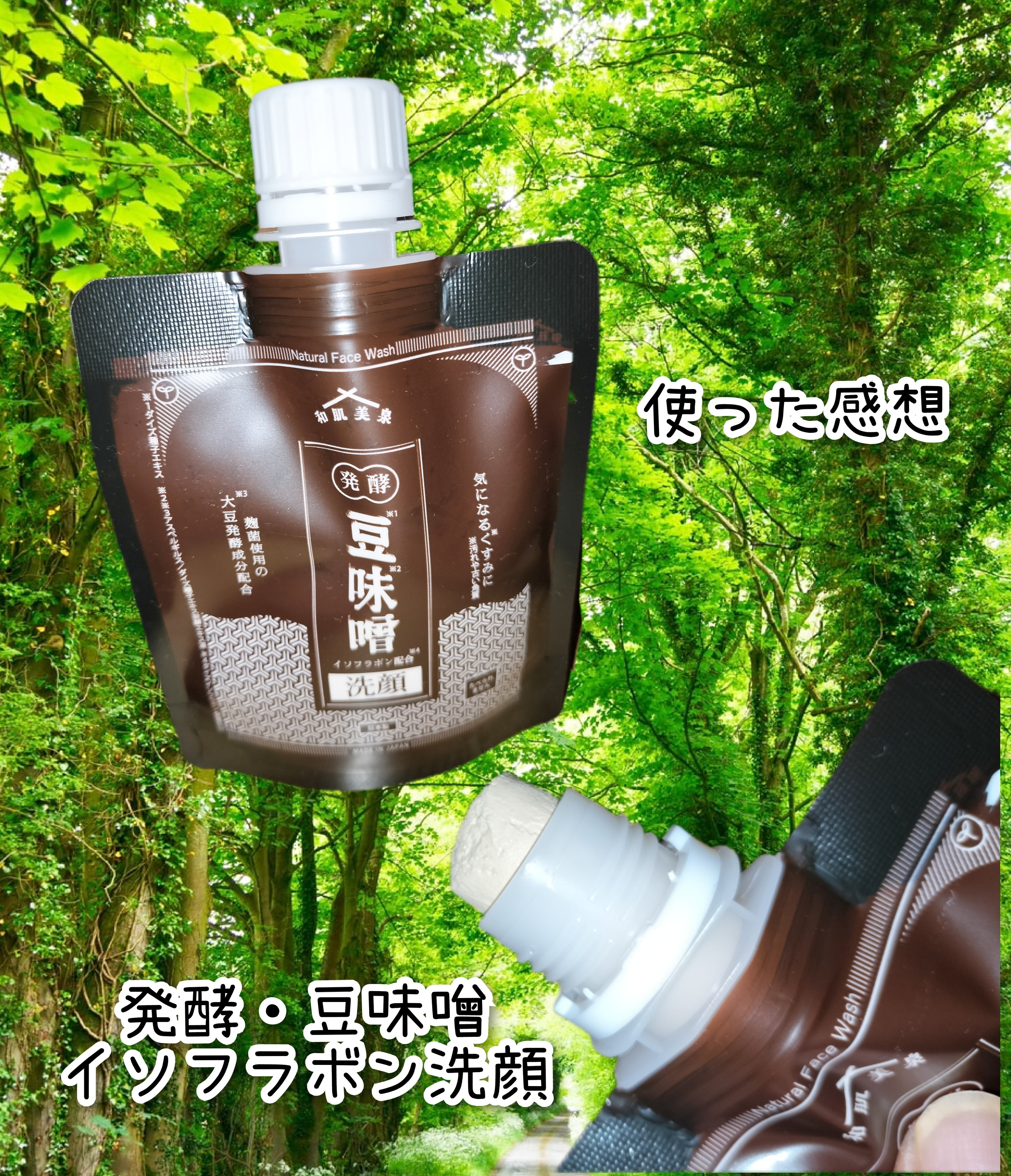 発酵・豆味噌イソフラボン洗顔/和肌美泉/洗顔フォームを使ったクチコミ（1枚目）