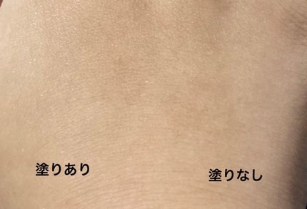 ポアレスパウダー/U R GLAM/プレストパウダーを使ったクチコミ(2枚目)