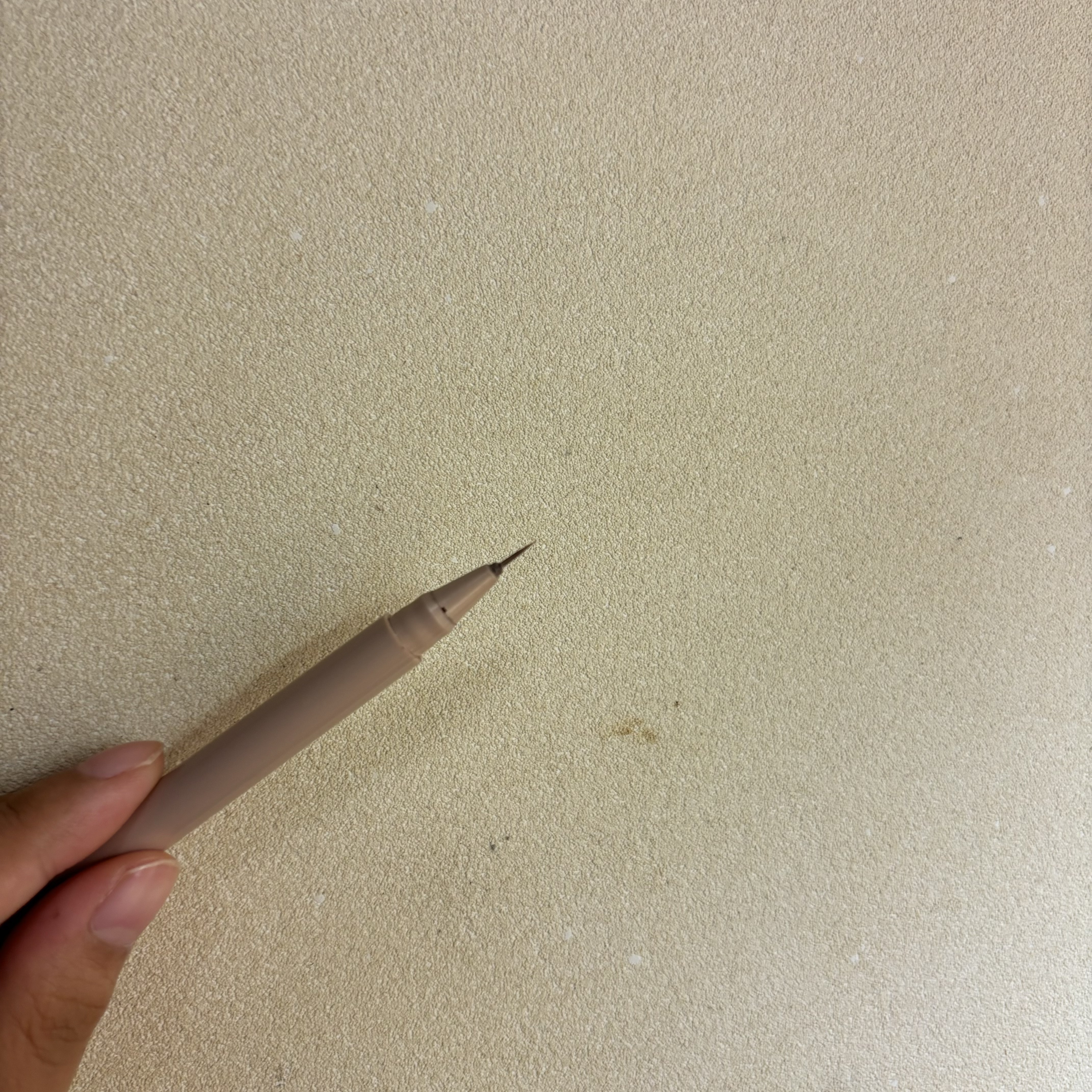 CipiCipi シークレットキワミライナー Rのクチコミ「《シピシピ　シークレットキワミライナーR ライトブラウン》

シピシピの涙袋ライナーです。
涙.....」（2枚目）