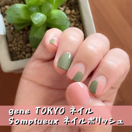 Somptueux(ソンプチュー) ネイルポリッシュ ST-NP-25/DAISO/マニキュアの画像