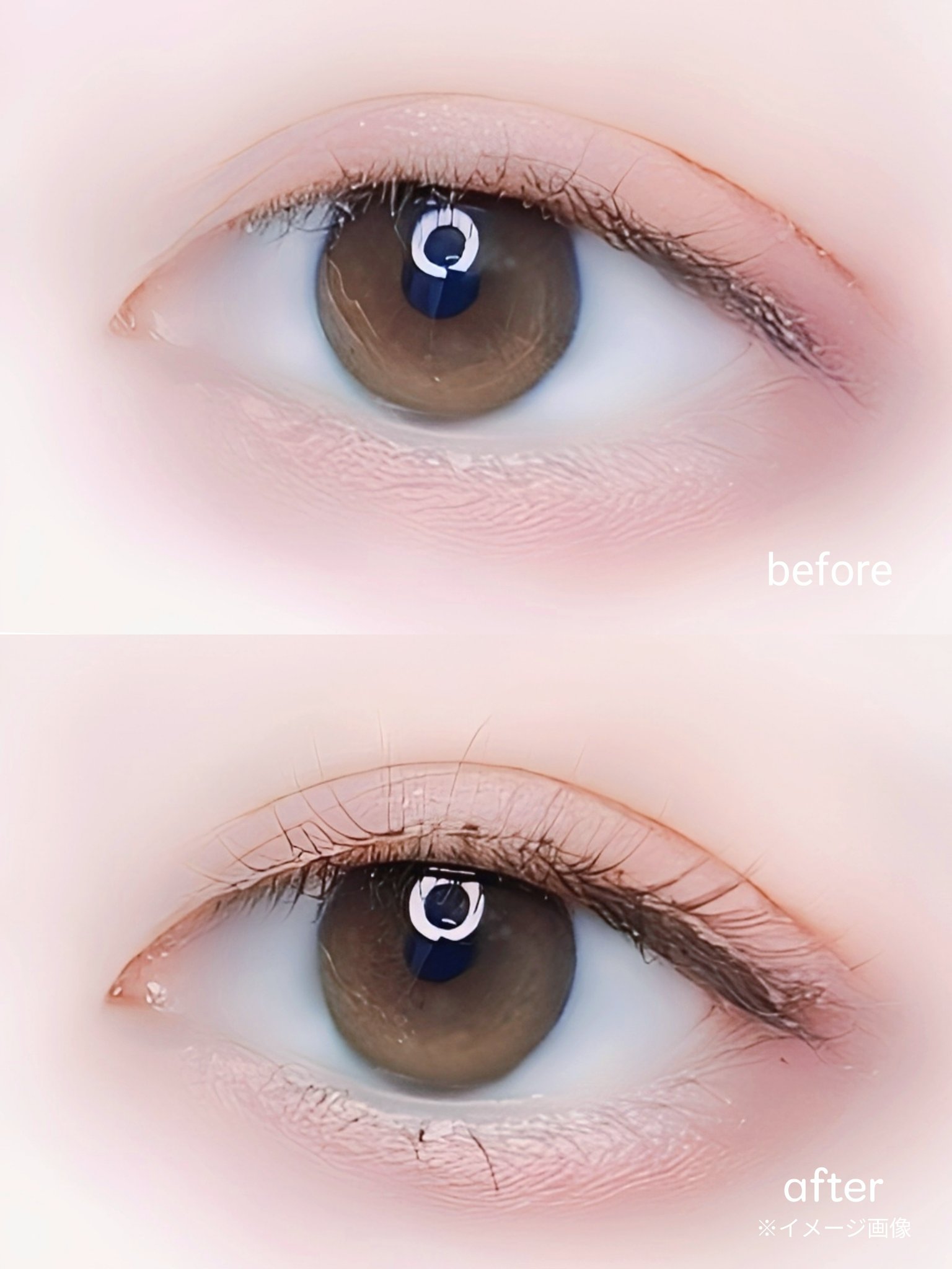 ラッシュオン 03 SWEET(スウィート)/D-UP/つけまつげを使ったクチコミ（3枚目）