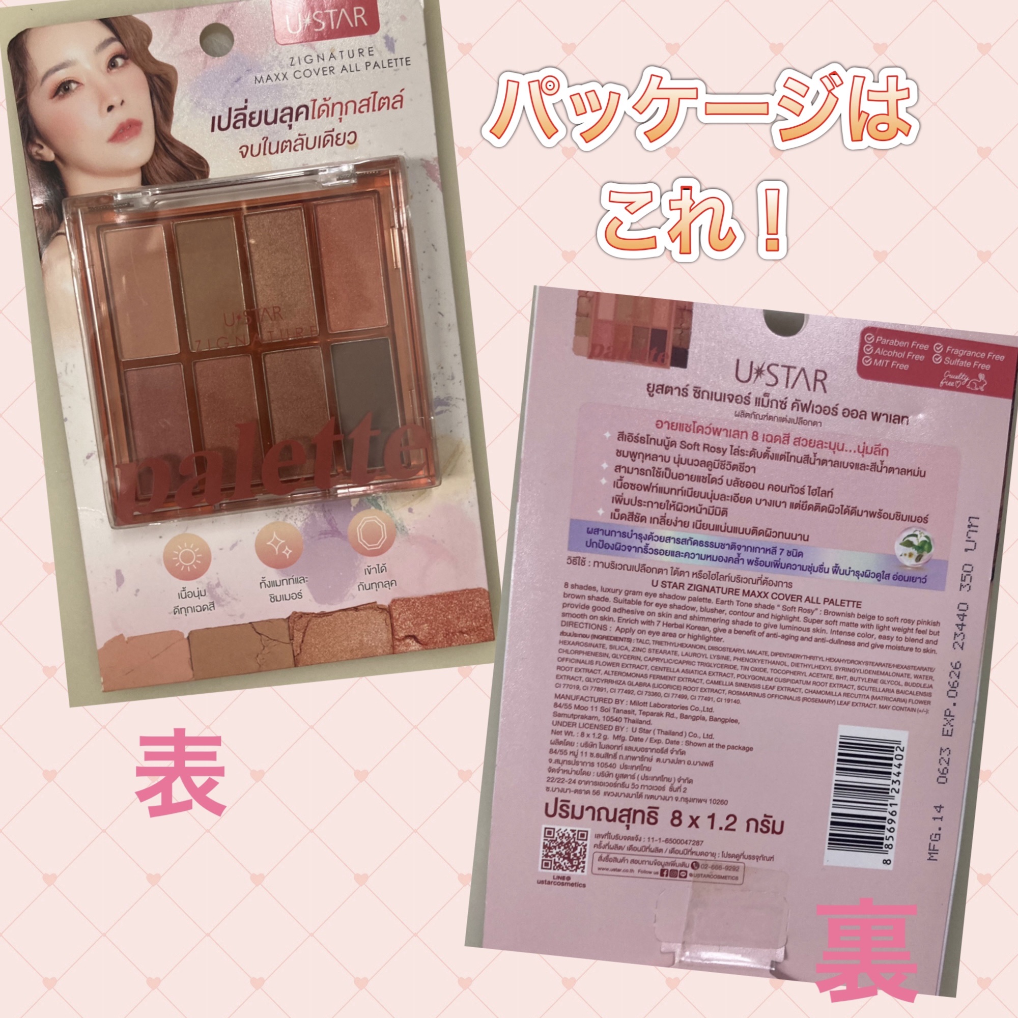 ZIGNATURE MAXX COVER ALL PALETTE/USTAR/パウダーアイシャドウを使ったクチコミ（2枚目）