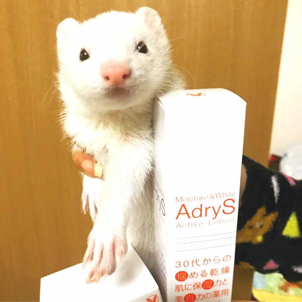 アクティブローション/AdryS/化粧水を使ったクチコミ(1枚目)