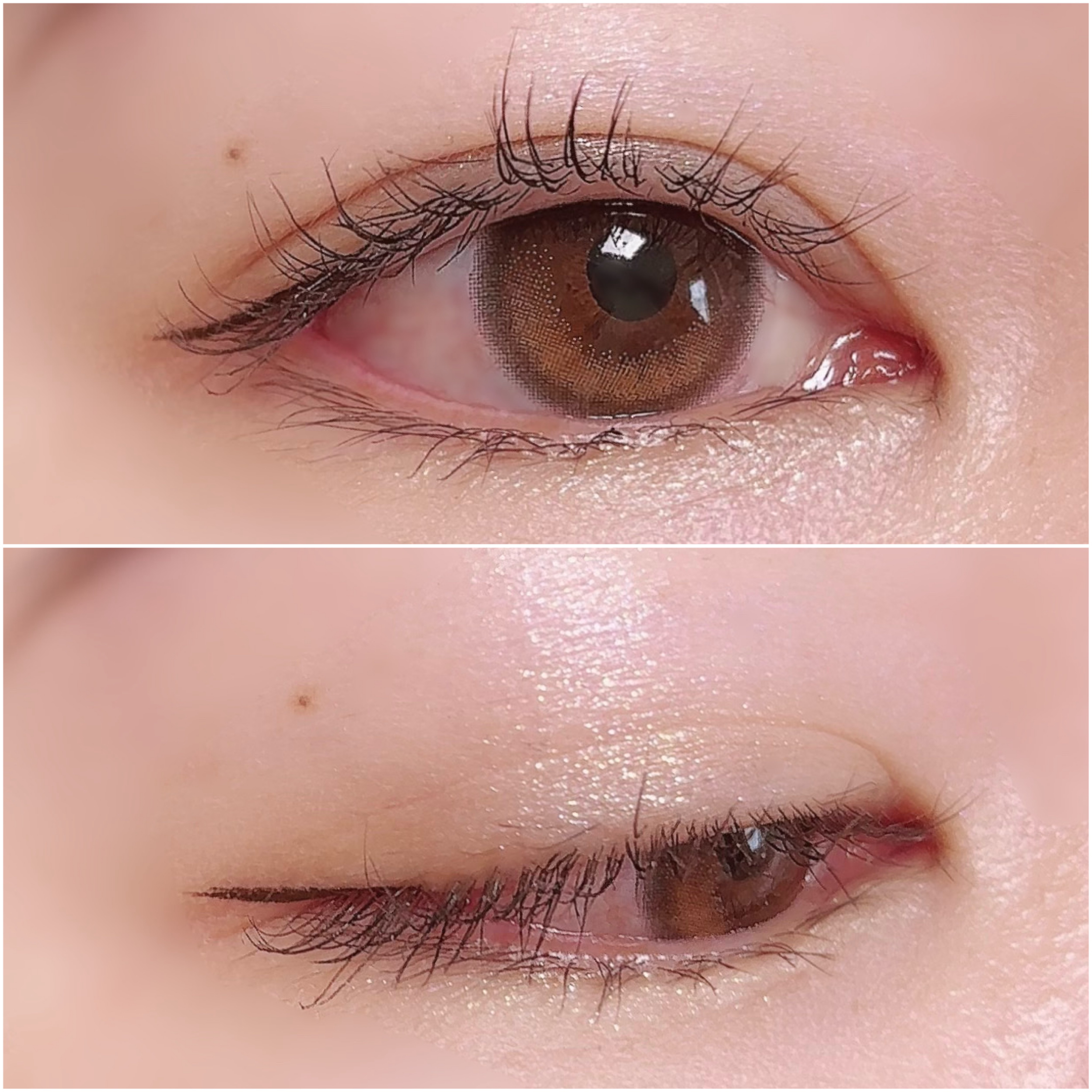 ティントリーアイパレット 02.チェストナッツトリー/Colorgram/アイシャドウパレットを使ったクチコミ（3枚目）