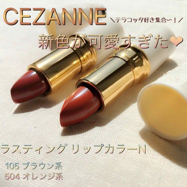 ラスティング リップカラーN/CEZANNE/口紅を使ったクチコミ（1枚目）