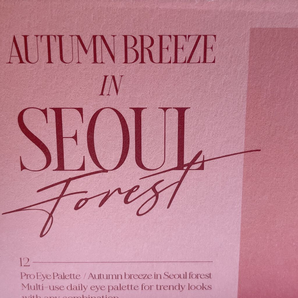 プロ アイ パレット/CLIO/アイシャドウパレットを使ったクチコミ（3枚目）