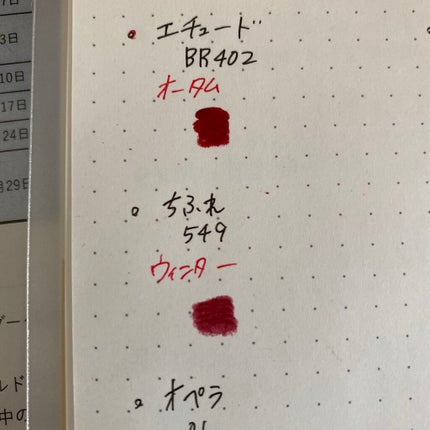 口紅(詰替用)/ちふれ/口紅を使ったクチコミ(4枚目)