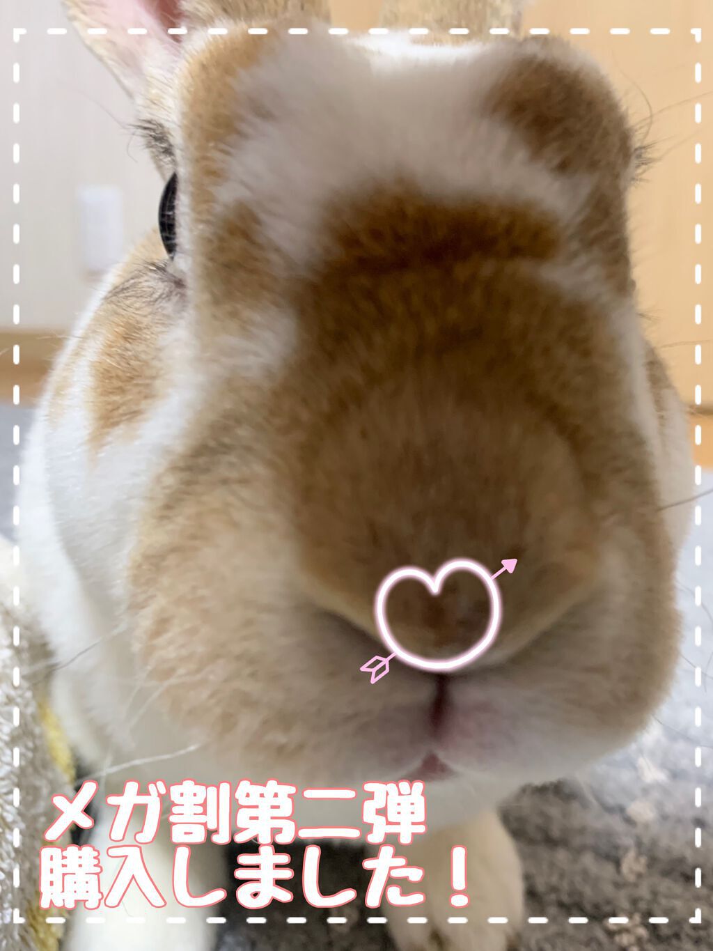 クリーンオーシャンノンナノマイルドサンスクリーン/beplain/日焼け止め・UVケアを使ったクチコミ（1枚目）