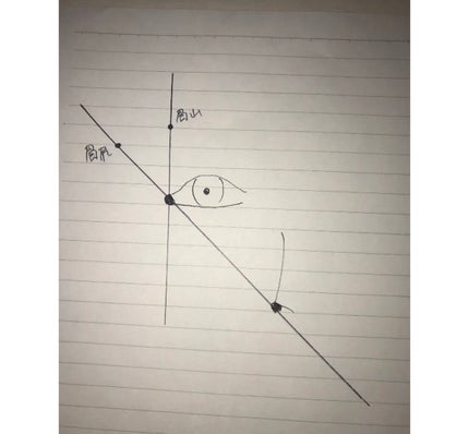 ケイト デザイニングアイブロウ3D/KATE/パウダーアイブロウを使ったクチコミ(6枚目)