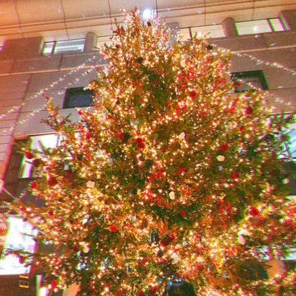 ゆの on LIPS 「💕💕恋愛相談💕💕クリスマス、皆さんは彼氏さんとデートしますか?..」(1枚目)