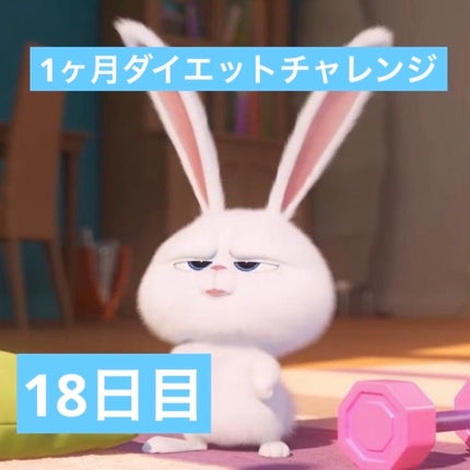 ã䜿ã£ãã¯ãã³ãïŒ1æç®ïŒ