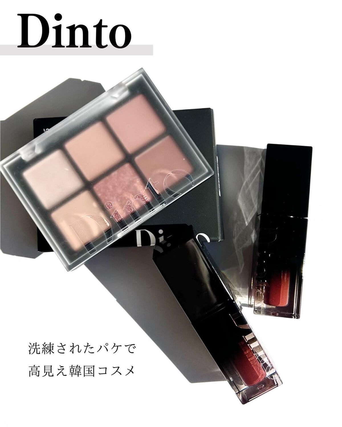 ブラーフィニシュシャドウパレット/Dinto/アイシャドウパレットを使ったクチコミ（2枚目）