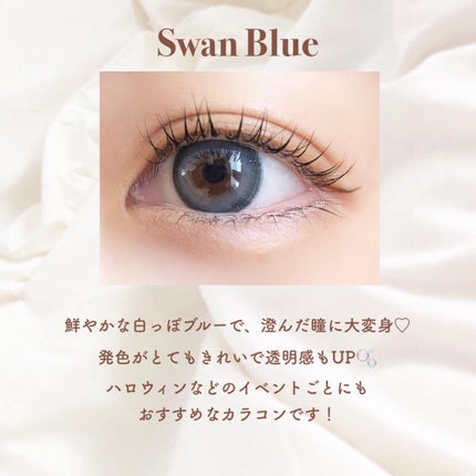 Angelcolor Bambi Series 1day /AngelColor/ワンデー(1DAY)カラコンを使ったクチコミ(4枚目)