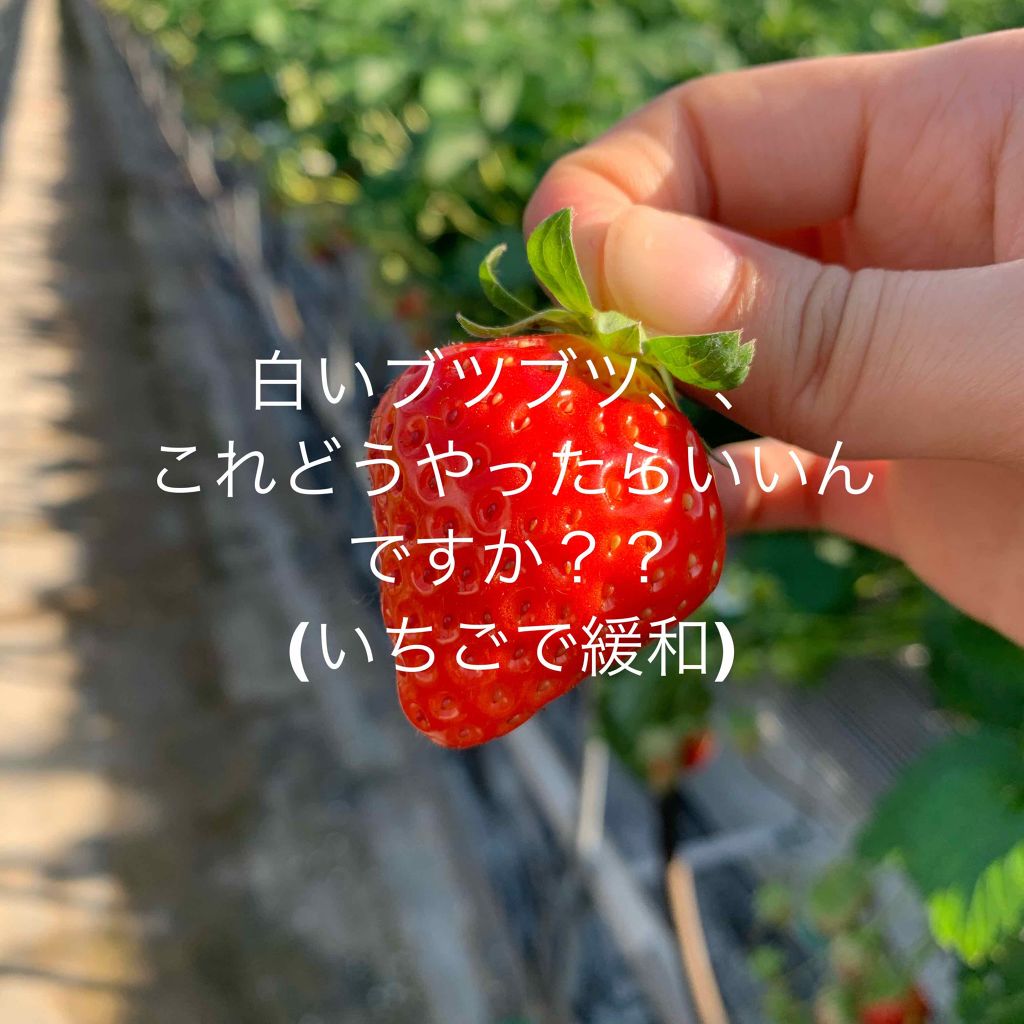 ハトムギ化粧水(ナチュリエ スキンコンディショナー R )/ナチュリエ/化粧水を使ったクチコミ（1枚目）