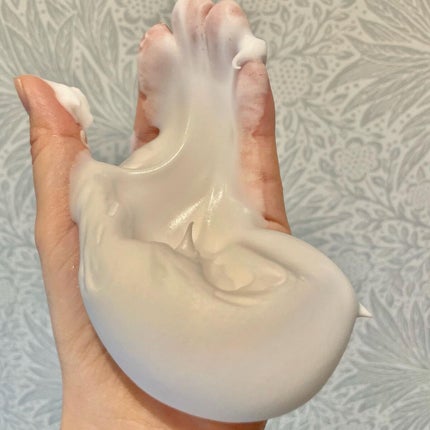 クリスタルホイップ/SHIRORU/泡洗顔を使ったクチコミ(5枚目)