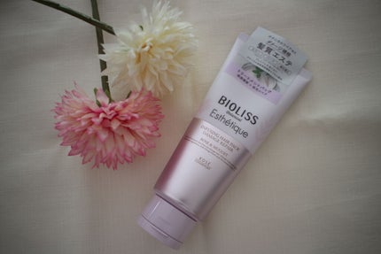 ボタニカル エステティーク インフュージング ヘアパック(ダメージリペア)/SSビオリス/ヘアマスク・ヘアパックを使ったクチコミ(1枚目)