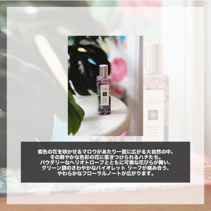 マロウ オン ザ ムーア コロン/Jo MALONE LONDON/香水(その他)を使ったクチコミ(2枚目)