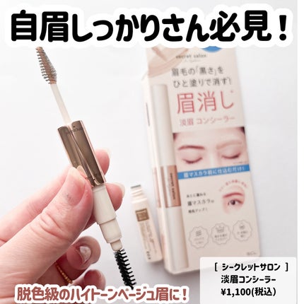 淡眉コンシーラー/シークレットサロン/眉マスカラを使ったクチコミ(2枚目)