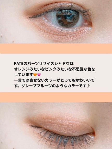 パーツリサイズシャドウ/KATE/アイシャドウパレットを使ったクチコミ(2枚目)