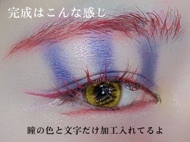 ザ カラー リキッド アイライナー 010 Deep Plum/ADDICTION/リキッドアイライナーを使ったクチコミ（2枚目）