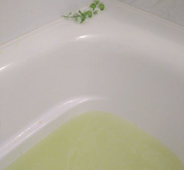 アルポカ温泉郷〜椿の湯〜/アルポカ/入浴剤を使ったクチコミ（3枚目）