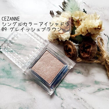 シングルカラーアイシャドウ 09 グレイッシュブラウン/CEZANNE/パウダーアイシャドウを使ったクチコミ（1枚目）