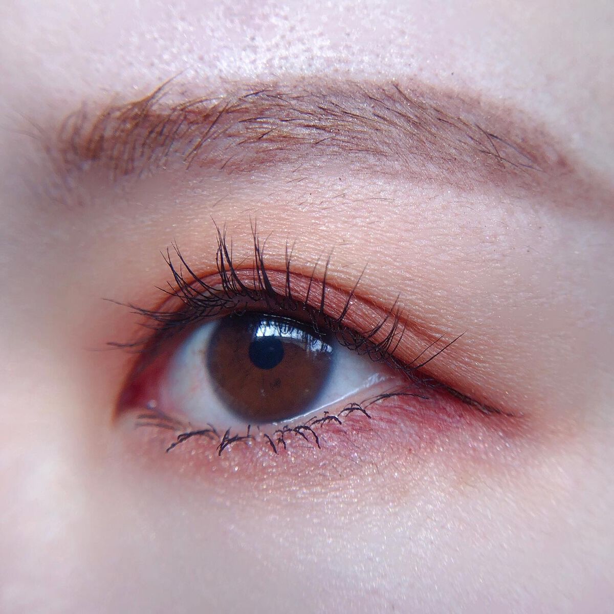 あゆみ on LIPS 「・\#todaysmake/・アイシャドウ☑@diorbeau..」(3枚目)