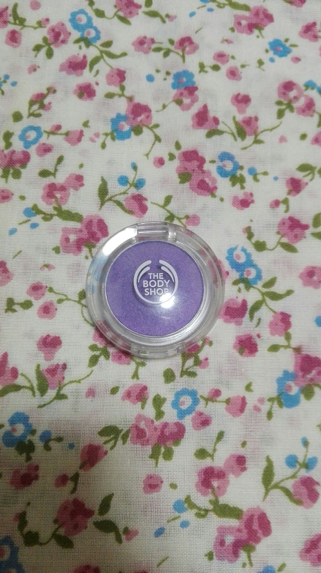 カラークラッシュ アイカラー/THE BODY SHOP/単色アイシャドウを使ったクチコミ（1枚目）