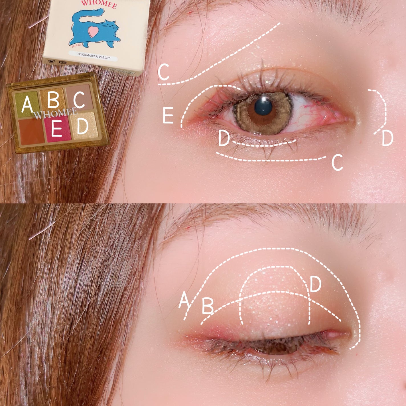 フーミー 時計回りパレット/WHOMEE/アイシャドウパレットを使ったクチコミ(2枚目)