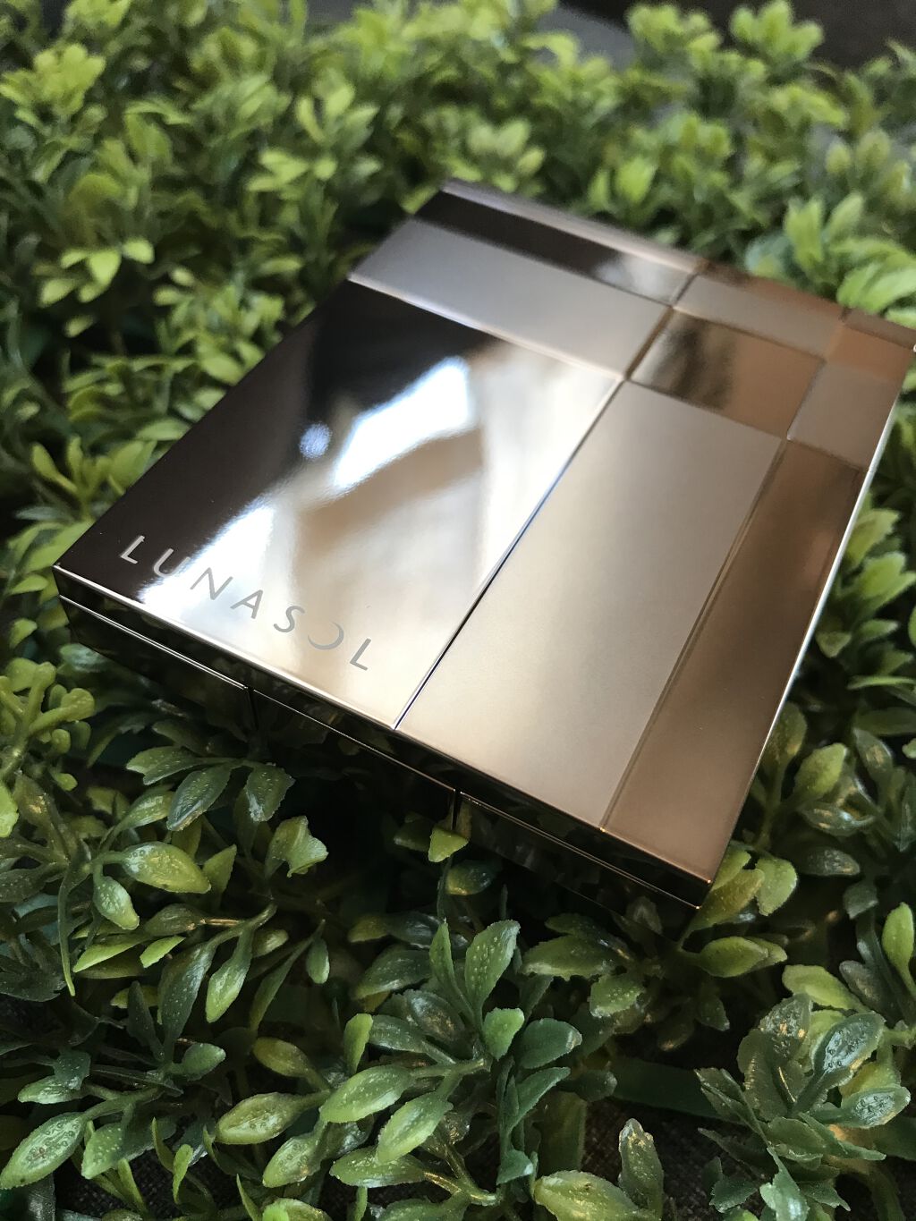 ジェミネイトアイズ N 01 CE/LUNASOL/アイシャドウパレットを使ったクチコミ（2枚目）