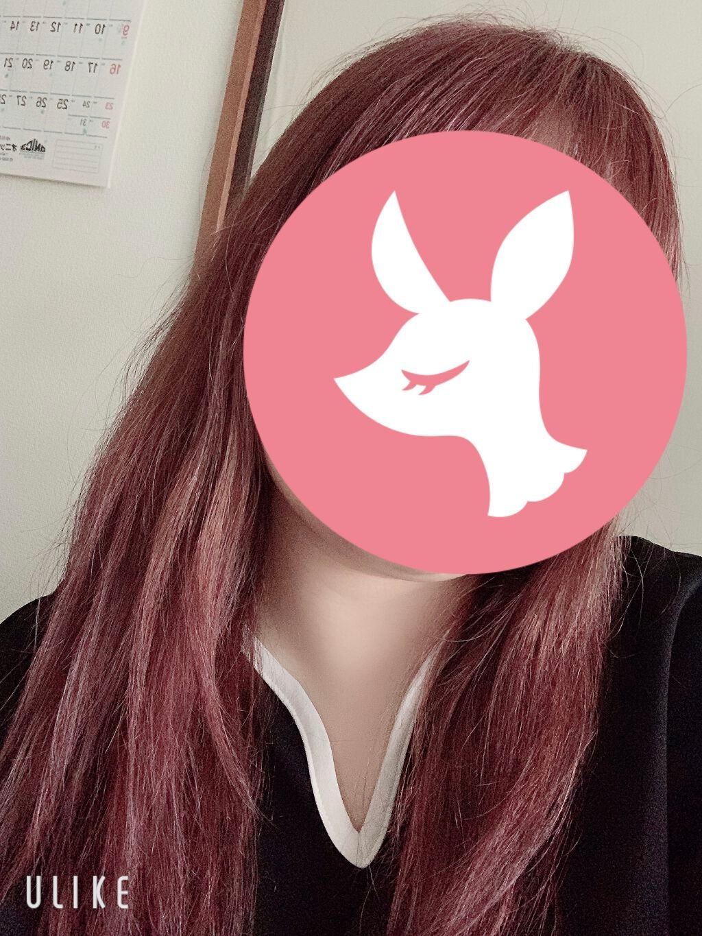 カラーリングミルク【旧】/パルティ/ヘアカラーを使ったクチコミ(2枚目)