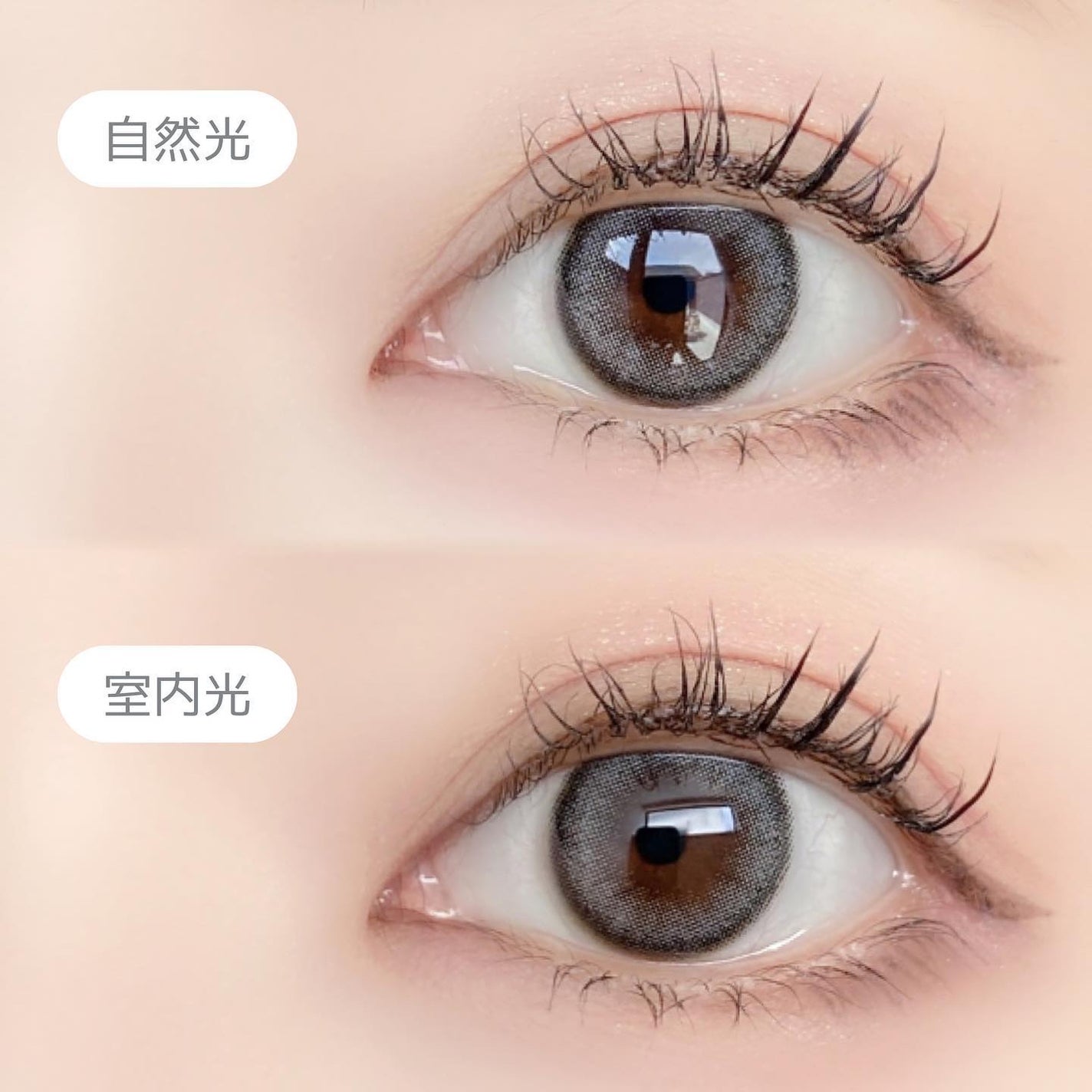 ViVi Ring 1Month/OLENS/カラーコンタクトレンズを使ったクチコミ(6枚目)