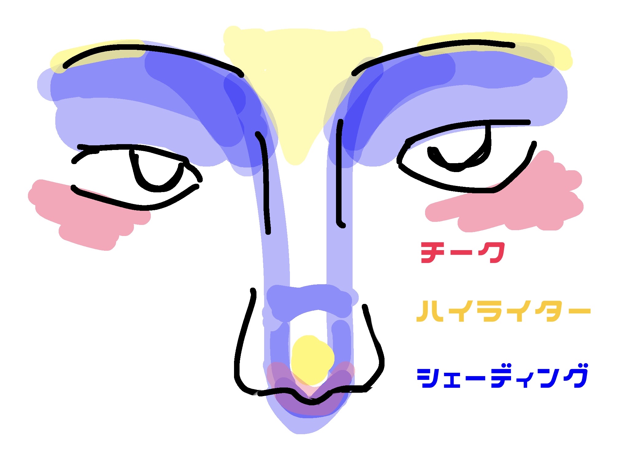 シェーディングパウダー/キャンメイク/シェーディングを使ったクチコミ（3枚目）