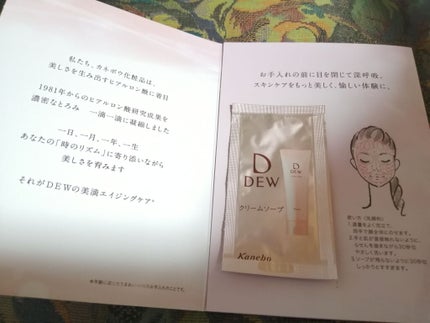 クリームソープ/DEW/洗顔フォームを使ったクチコミ(1枚目)