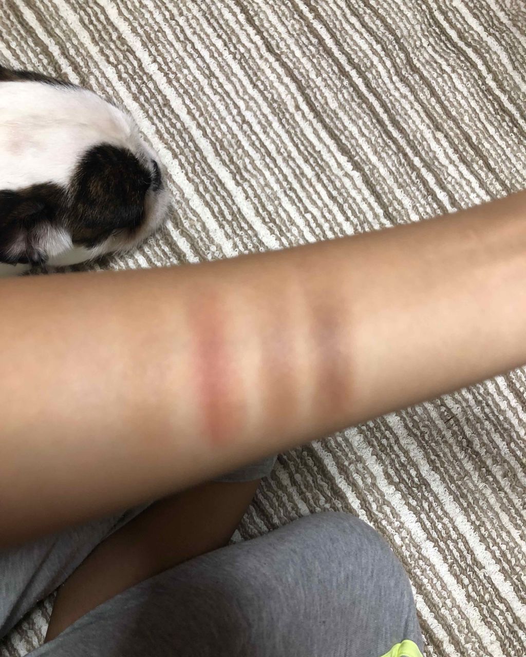 パーフェクトマルチアイズ/キャンメイク/アイシャドウパレットを使ったクチコミ（2枚目）