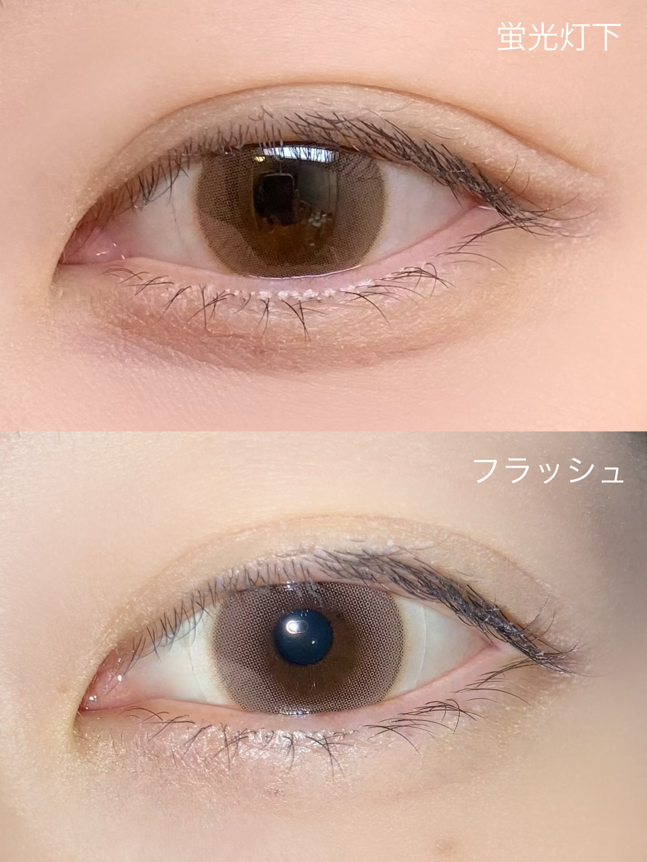 ShineTouch 1day ミルキーブラウン/OLENS/ワンデー（１DAY）カラコンを使ったクチコミ（3枚目）