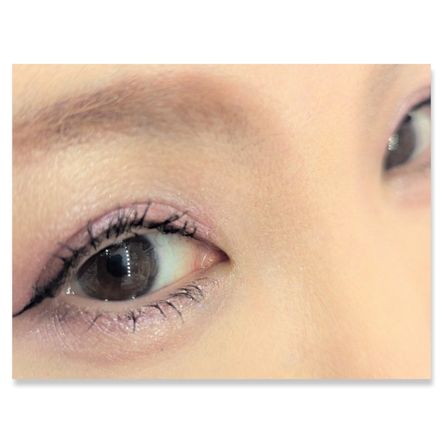 マイキティアイパレット/MilleFée/アイシャドウパレットを使ったクチコミ(2枚目)