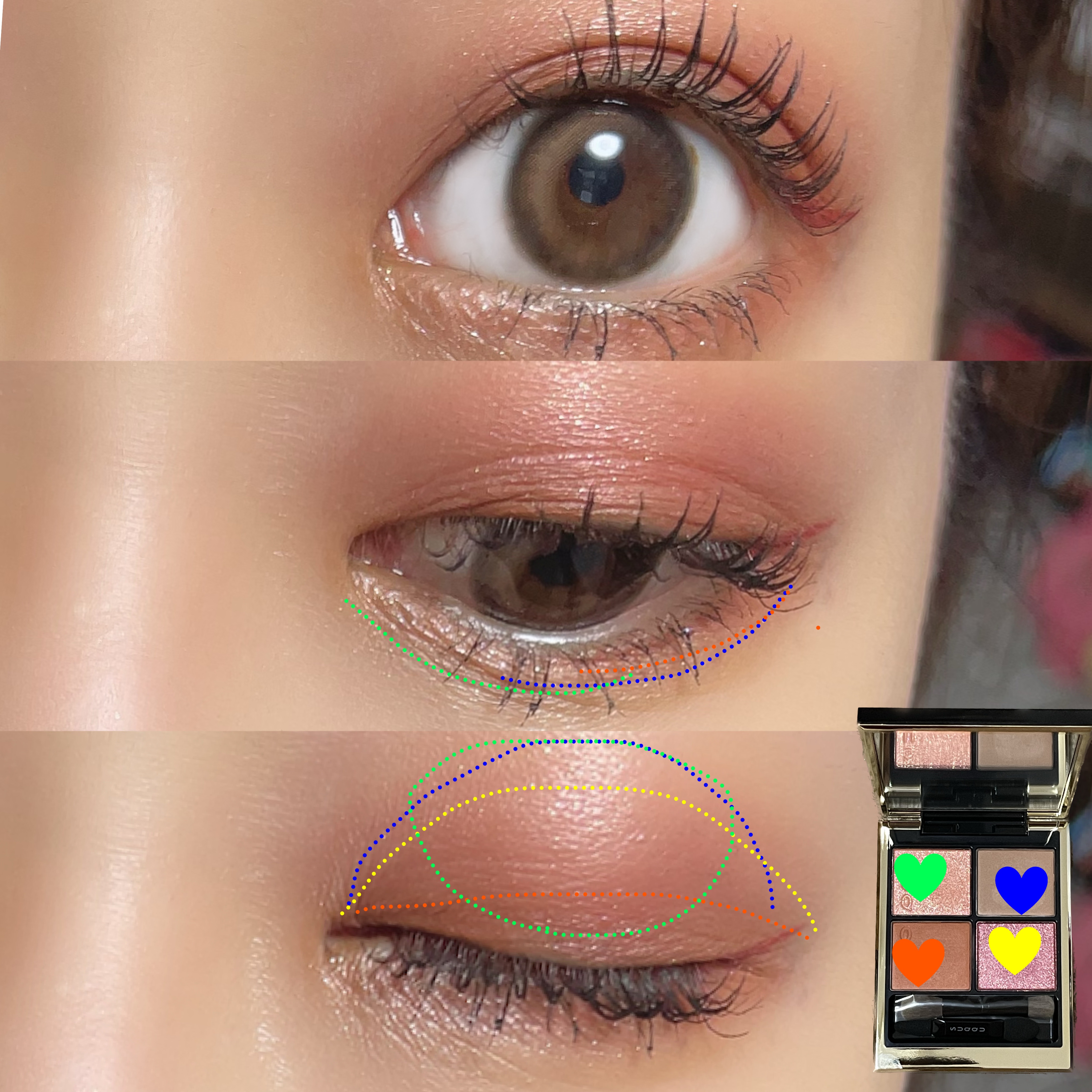 シグニチャー カラー アイズ/SUQQU/アイシャドウパレットを使ったクチコミ（2枚目）