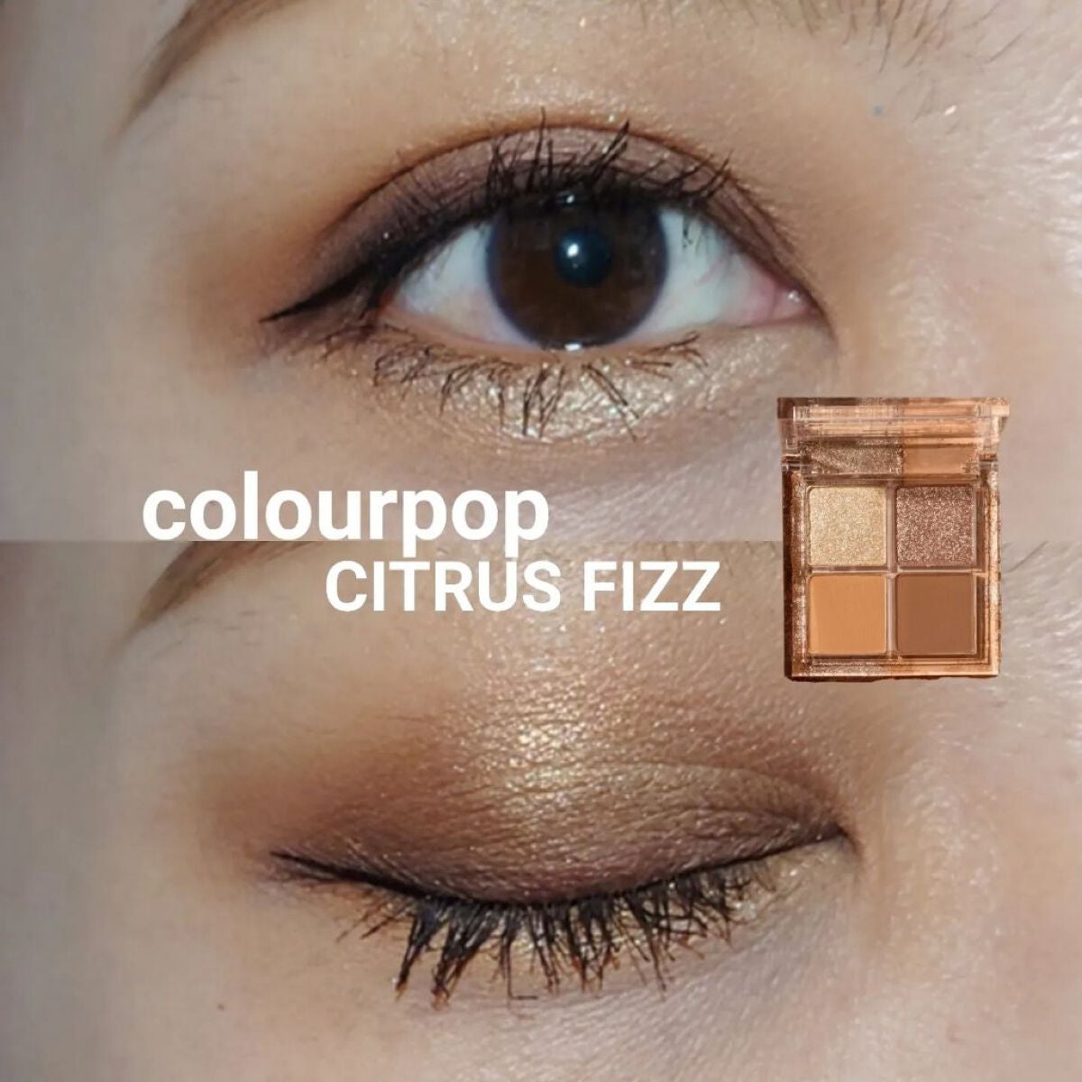 shadow palette /ColourPop/アイシャドウパレットを使ったクチコミ(1枚目)